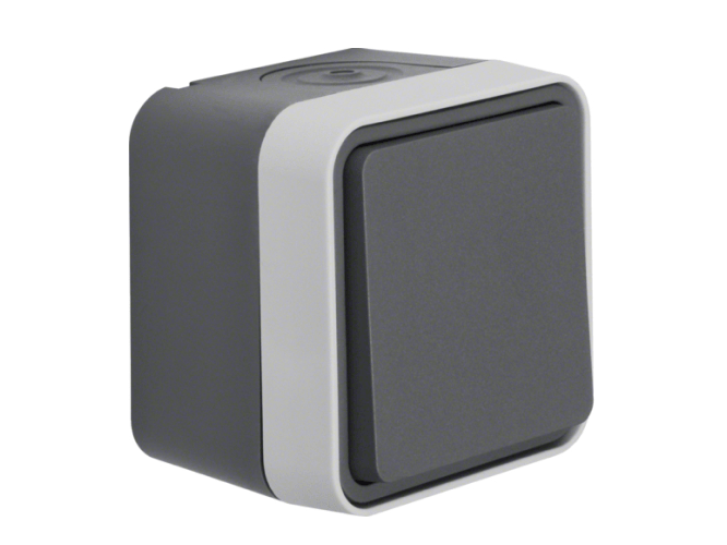 Розетки та вимикачі Berker W.1