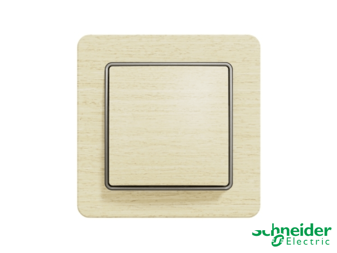 Розетки та вимикачі Schneider Electric Sedna Design & Elements